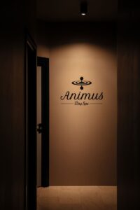 Animus Day Spa, Massage in Thessaloniki