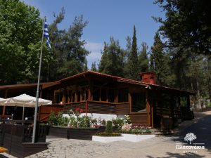 Platanakia Natura, Panorama, Thessaloniki