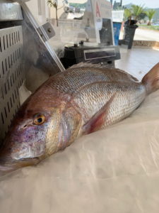 Apomero Fish Restaurant, Nea Peramos, Kavala