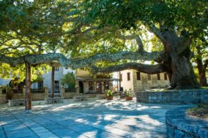 En Chora Vezitsa Hotel-Vitsa-Zagori-Greece