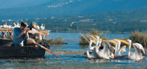 Kerkini Lake