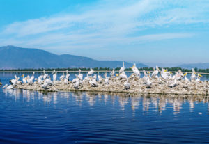 Kerkini Lake