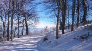 Naousa, 3-5 Pigadia Ski Center