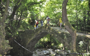 Milies, Pelion, Volos