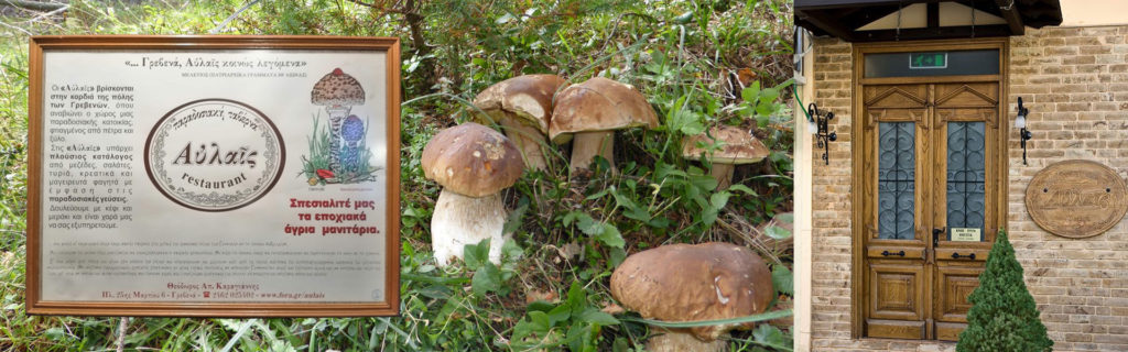 Avlais Mushroom Restaurant in Grevena