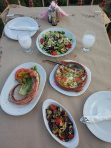 Taverna Folia, Neraida, Kozani