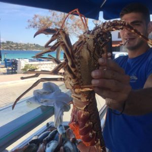 Barbouni Seafood Restaurant, Halkidiki