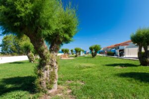 Kalamaki Beach Hotel, Zakynthos, Greece