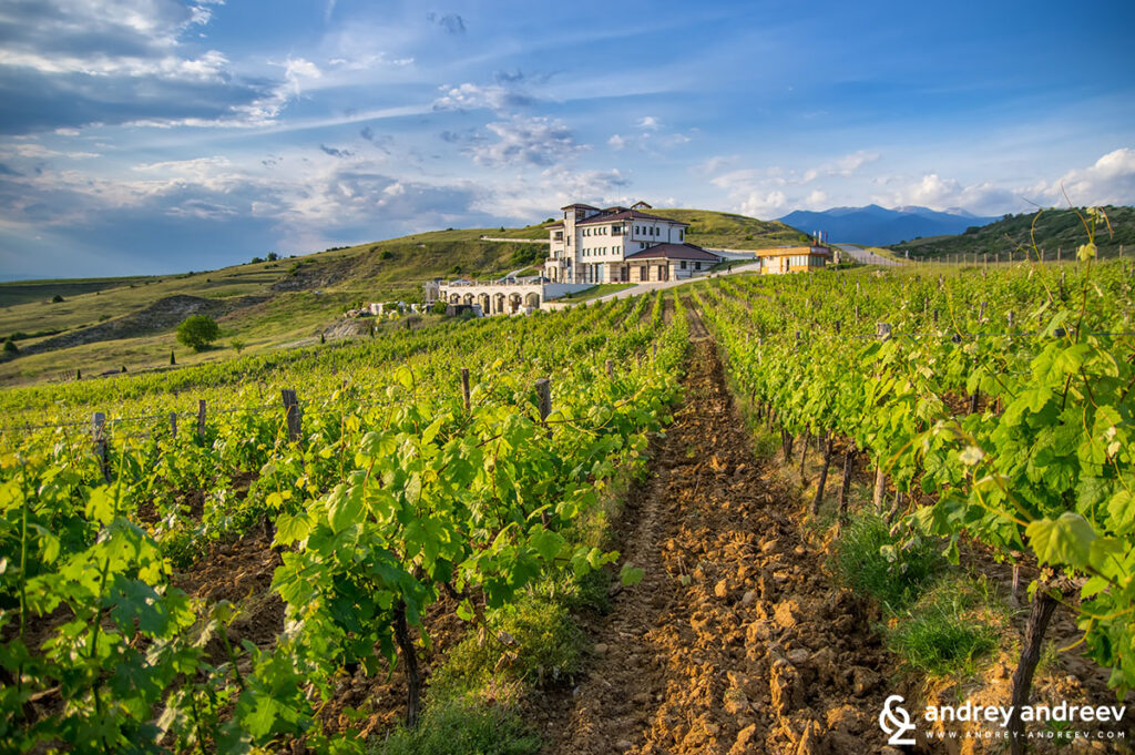 Villa Melnik wine cellar and its beautiful vineyards.
Image copyright: Andrey Andreev