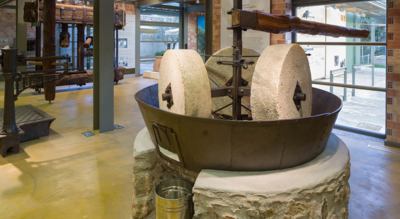 Museum of the Olive and Greek Olive Oil