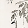 Πίνακας Ζωγραφικής, Bean Vine, Ito Jakuchu, HEP-2021-4325