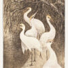 Πίνακας Ζωγραφικής, Zes Kraanvogels Aan De Waterkant (1878–1910), Theo van Hoytema, HEP-2021-4339