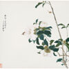 Πίνακας Ζωγραφικής, Insects and Flowers (Qing Dynasty 1644–1911), Ju Lian, HEP-2021-4351